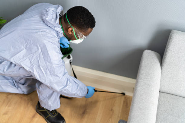 Best Commercial Pest Control  in Okemos, MI